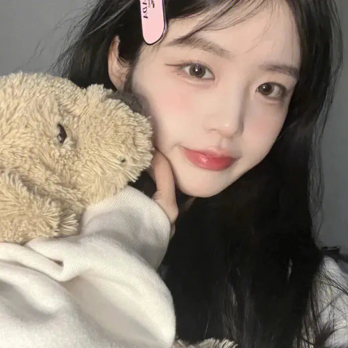 神犬小七第二季